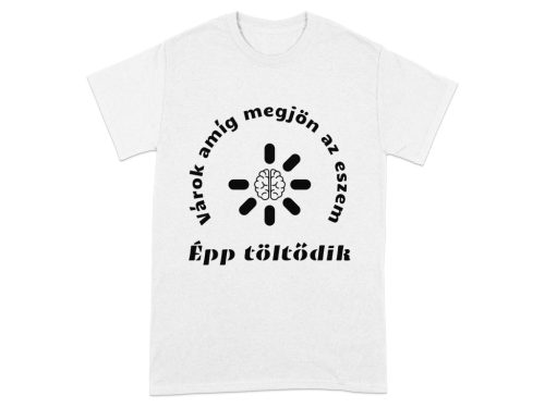 Eszem töltődik humoros szublimációs póló